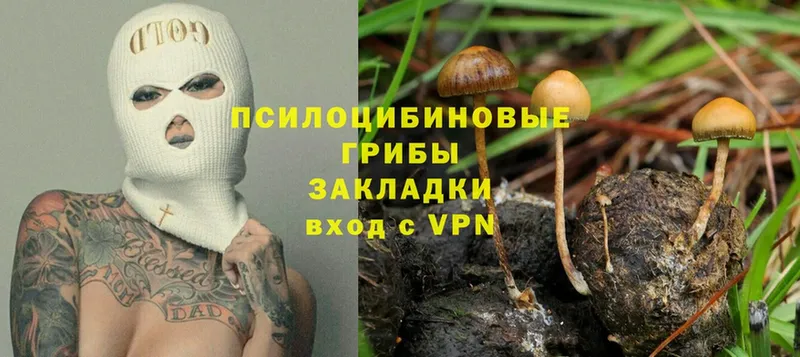 Галлюциногенные грибы MAGIC MUSHROOMS  omg сайт  Севск 